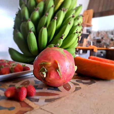 Hotel Isolina Boutique - Adults Recommended