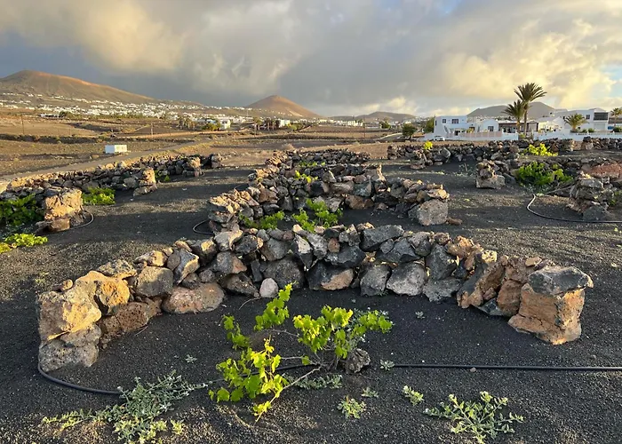 Isolina Boutique - Adults Recommended