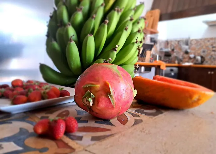 Otel Isolina Boutique - Adults Recommended