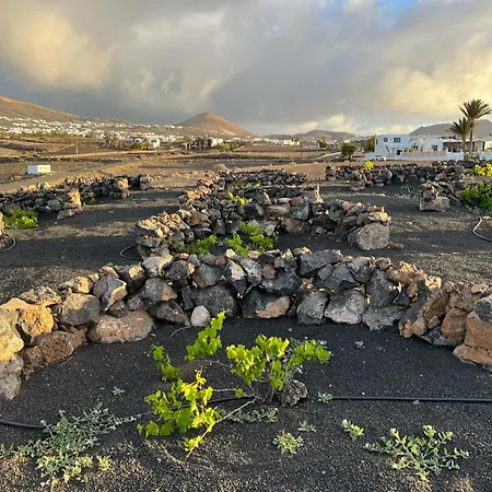 Isolina Boutique - Adults Recommended